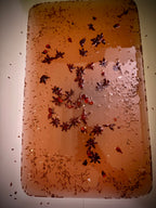 Heel to Heal – Restorative Foot Treatment